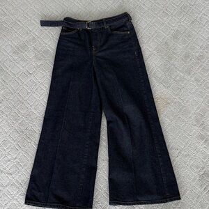 Express Wide-Leg Dark Blue Jeans worn once